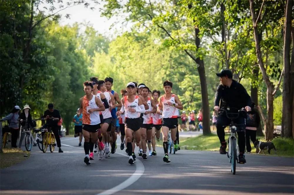 洱海怎么玩最新攻略,洱海攻略怎么玩