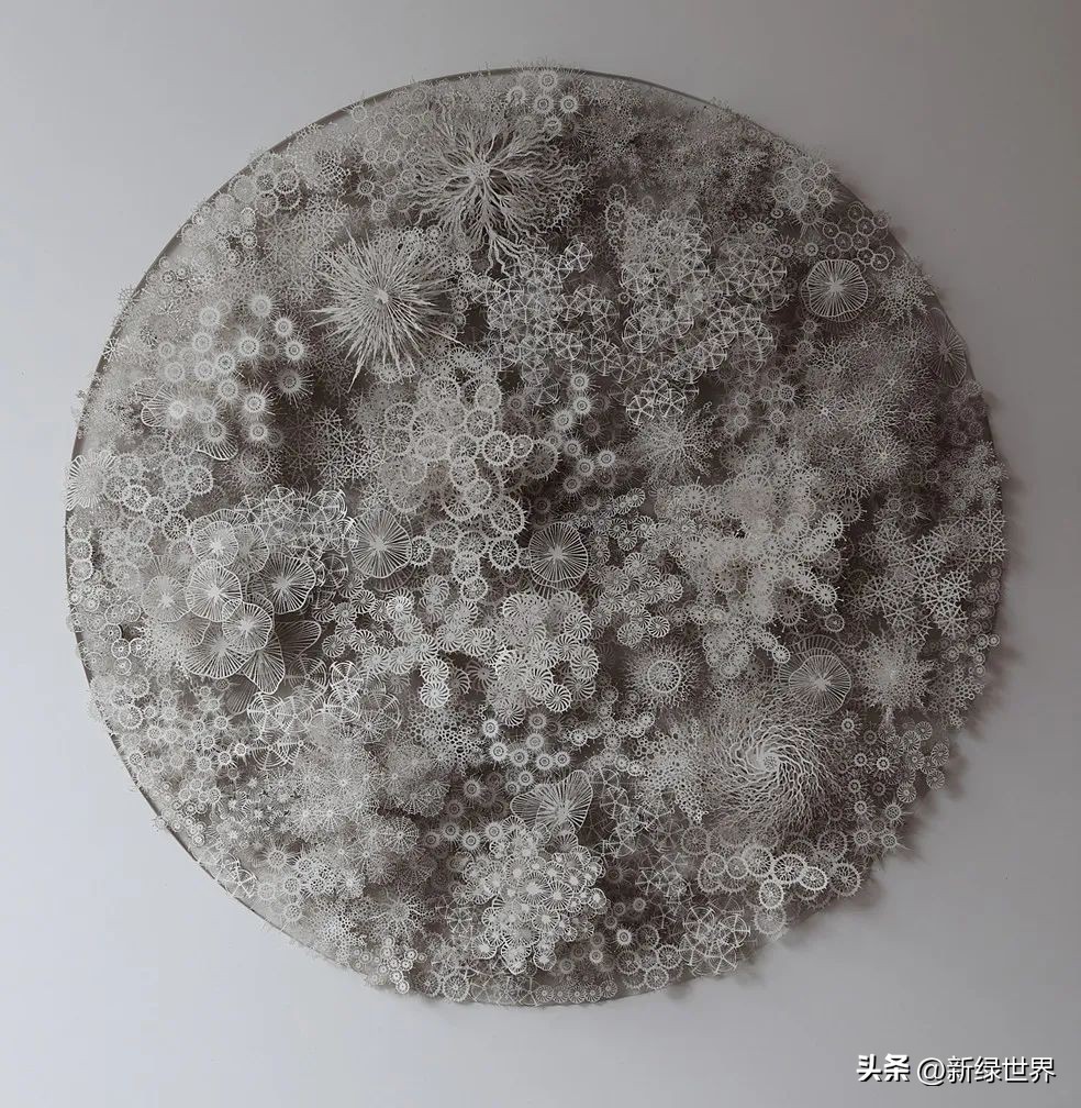 一组纸艺作品,令人惊艳的纸艺作品