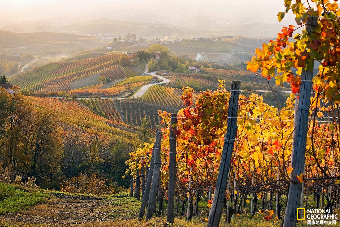 意大利世界遗产排行榜,意大利的世界自然遗产