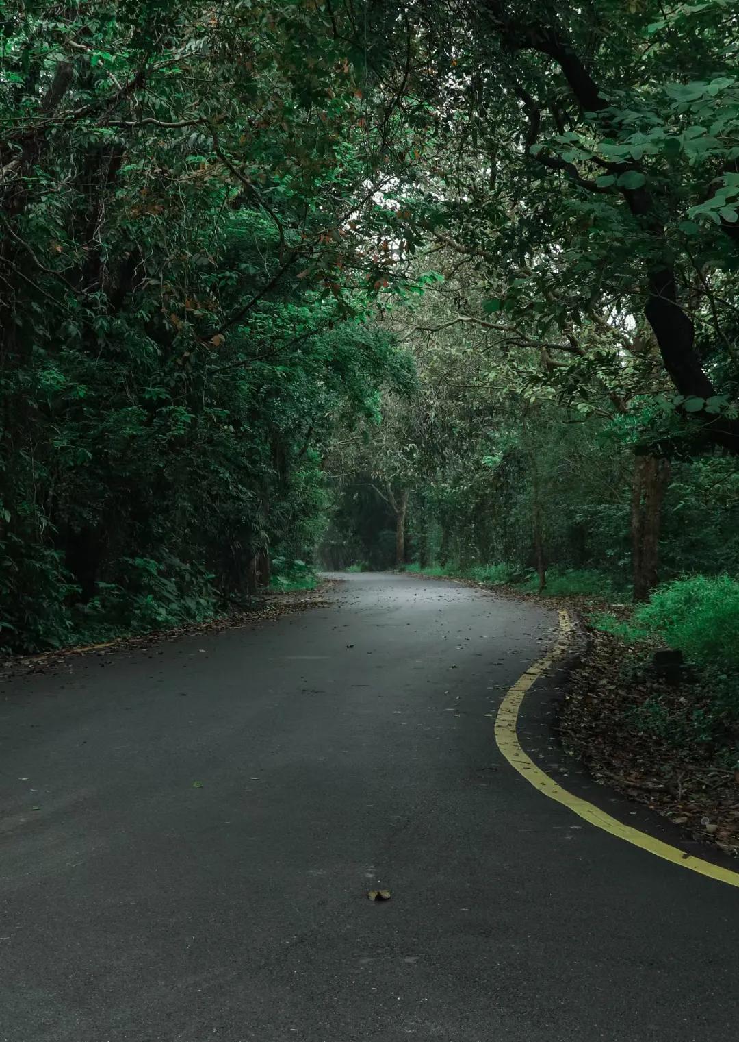 沉浸体验欧尚x5,最美的期待欧尚x5