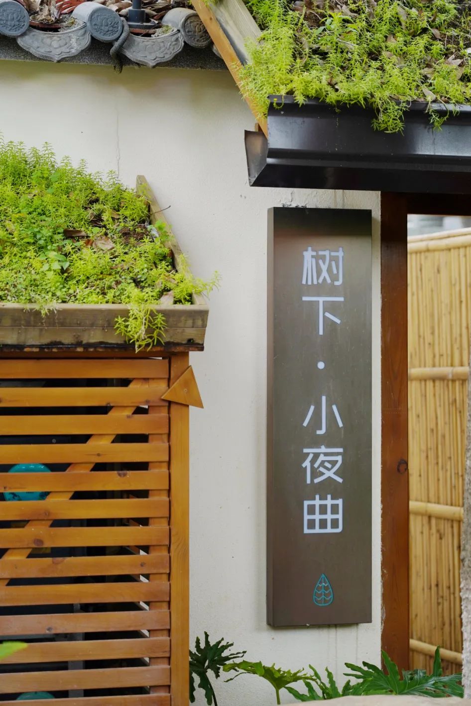 徒步露营带什么好吃的美食,旅行美食露营总有一款能治愈