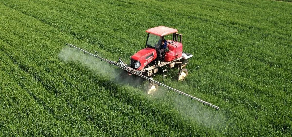 枝江:人均GDP比肩北上广,它做对了什么?