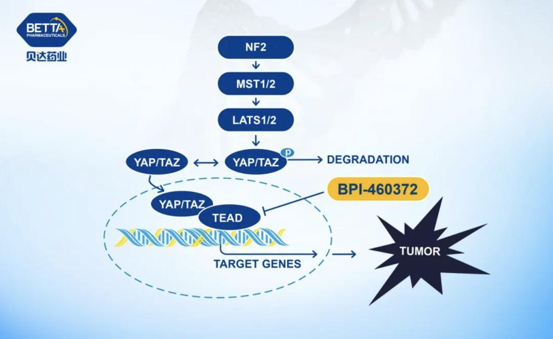 ai智能在疾病诊断的应用最新,ai医学辅助诊断系统