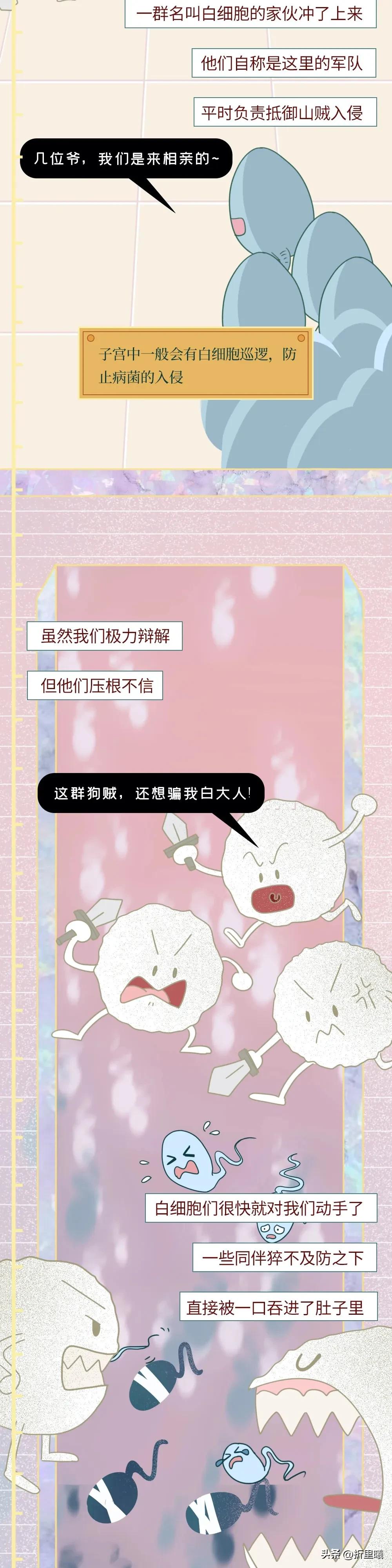 精子进入女生体内的24小时全过程曝光！
