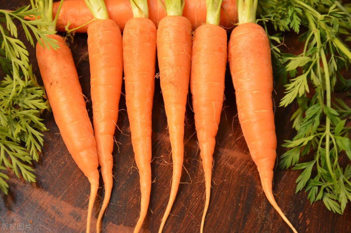 每天吃几根胡萝卜视力能得到提升,坚持每天吃胡萝卜视力会恢复么