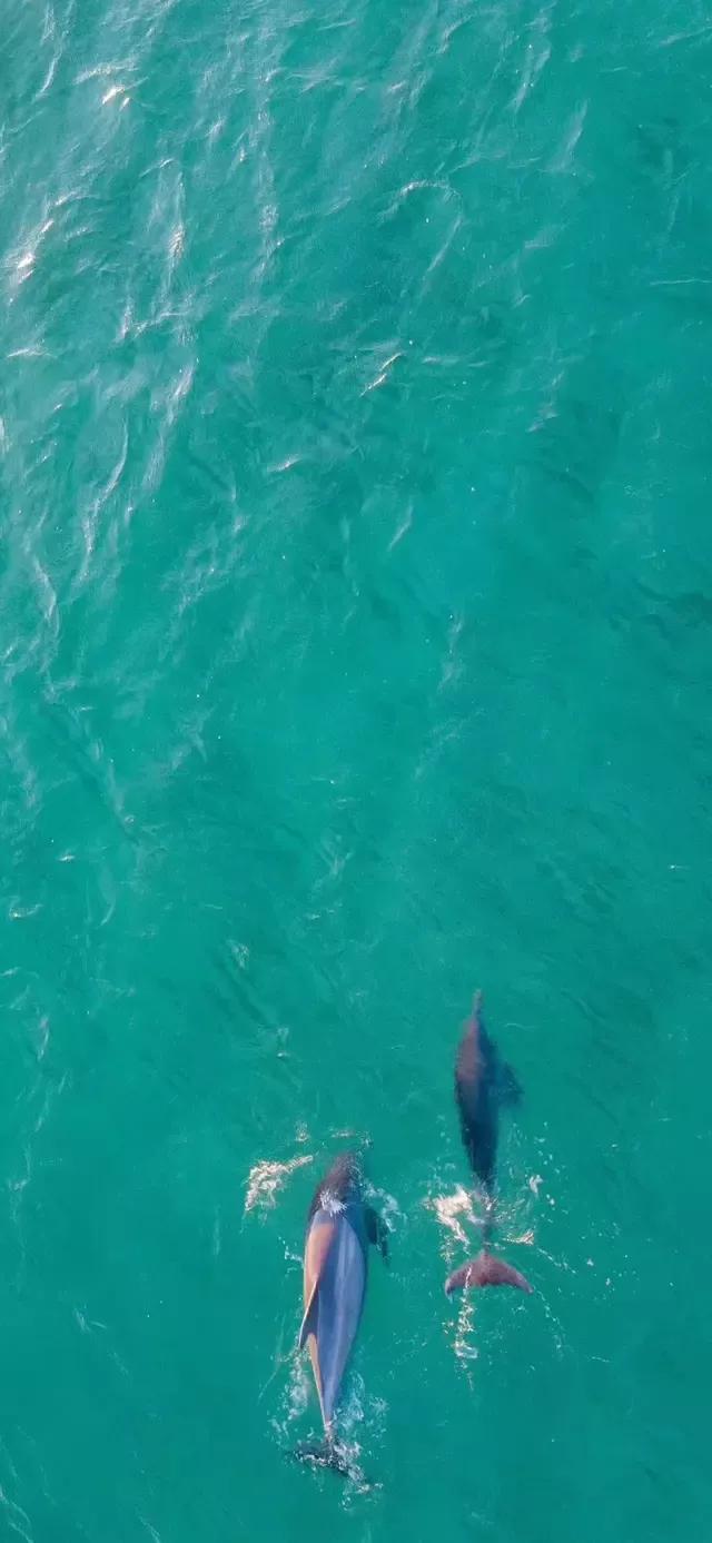 美丽的碧海蓝天壁纸,2018蓝色大海夏天壁纸