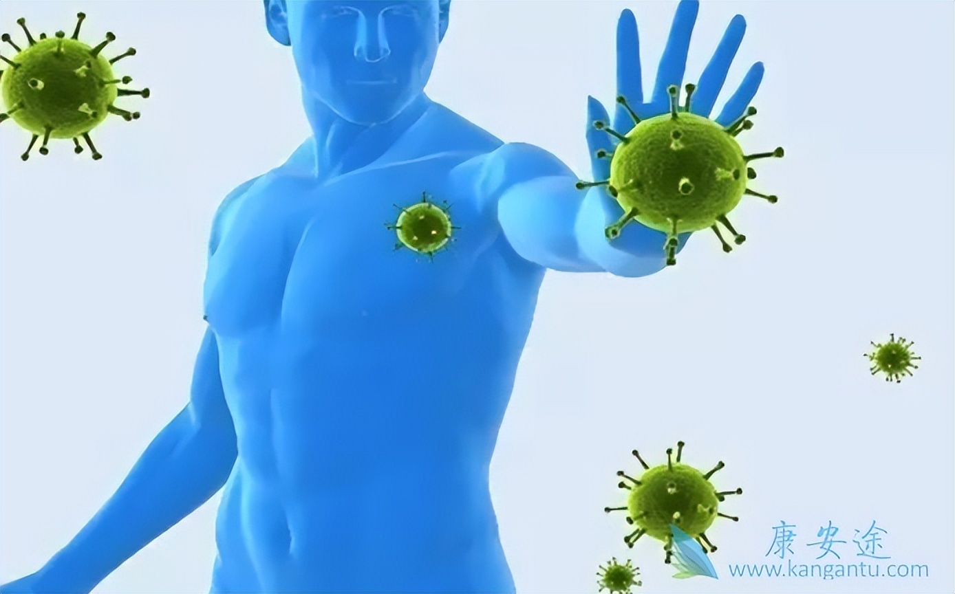 乙肝病毒携带者,乙肝病毒携带对身体有危害吗