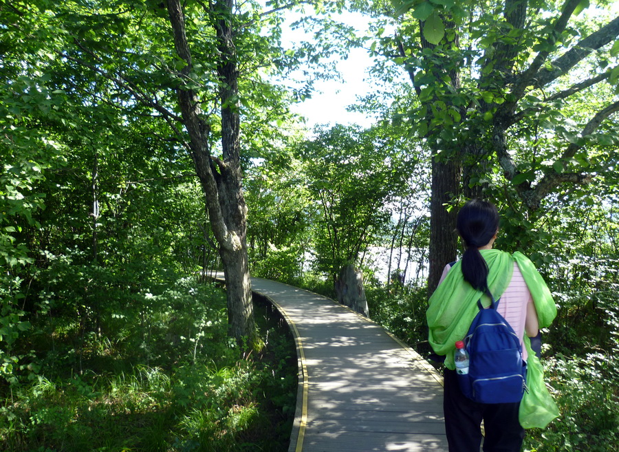 带你欣赏大九湖的美景,大九湖之旅