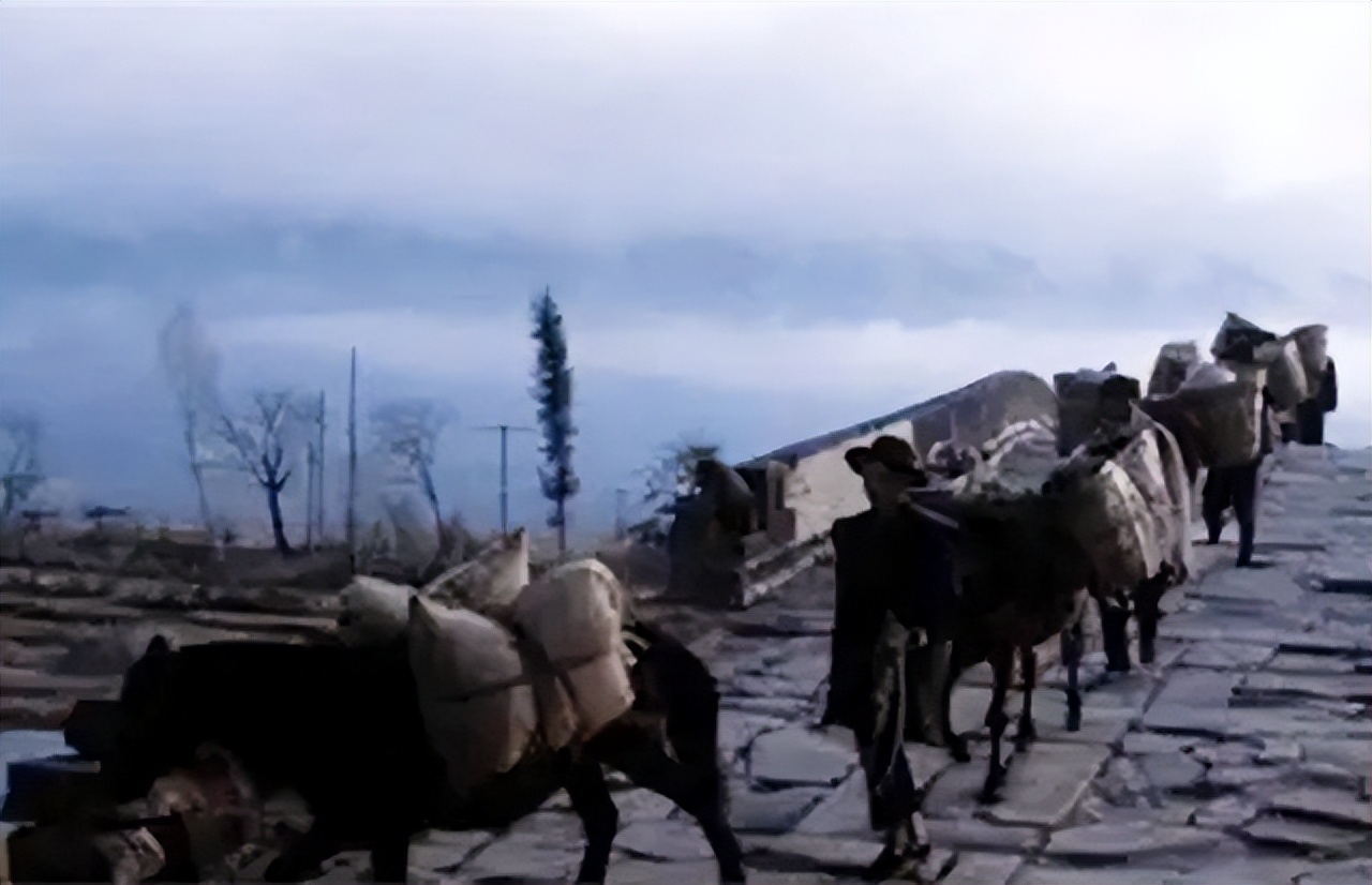 明代盐法,明代盐运司的内部设置