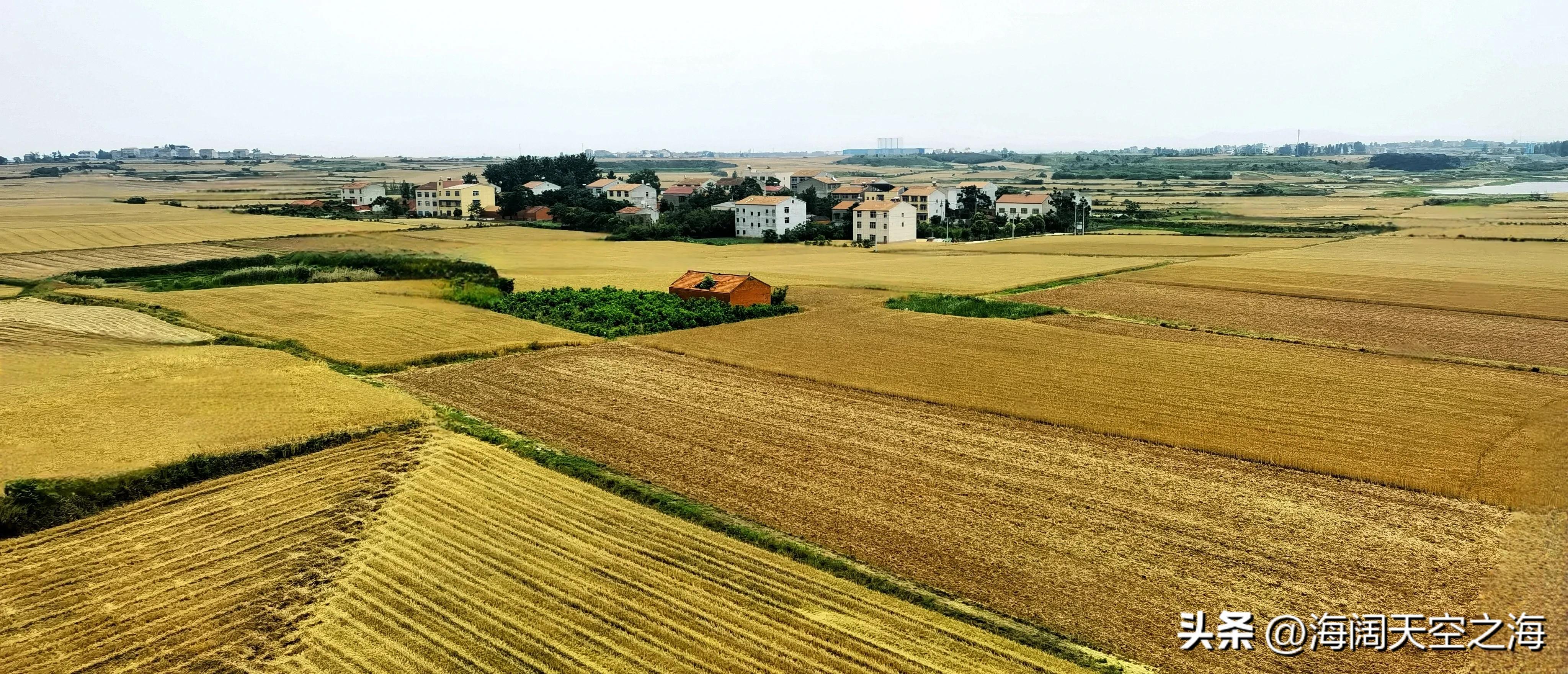 风吹麦浪完整版,风吹麦浪