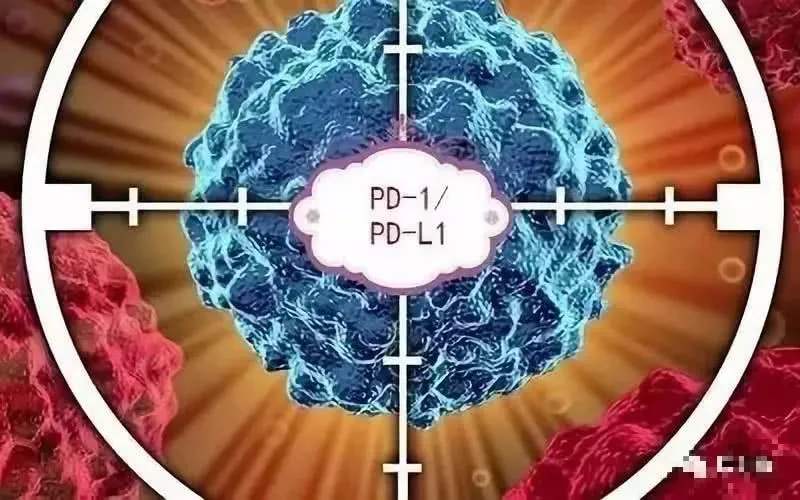 乙肝新药asc22三期到上市要多久,乙肝在研新药2项发现