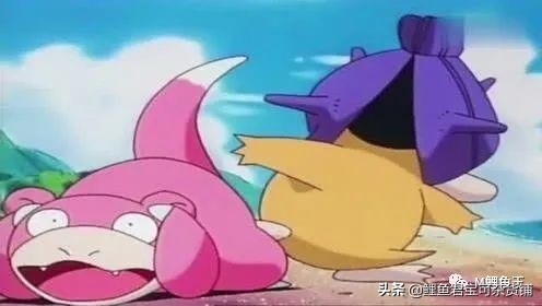 宝可梦进化,宝可梦成长之路