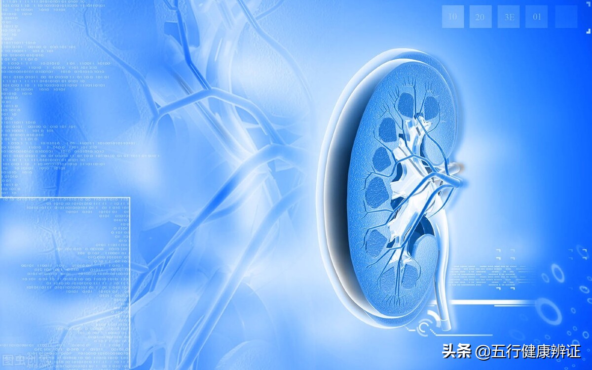 肾阴肾气虚舌苔黄色吃什么药,肾阴不足舌根也会苔白厚腻