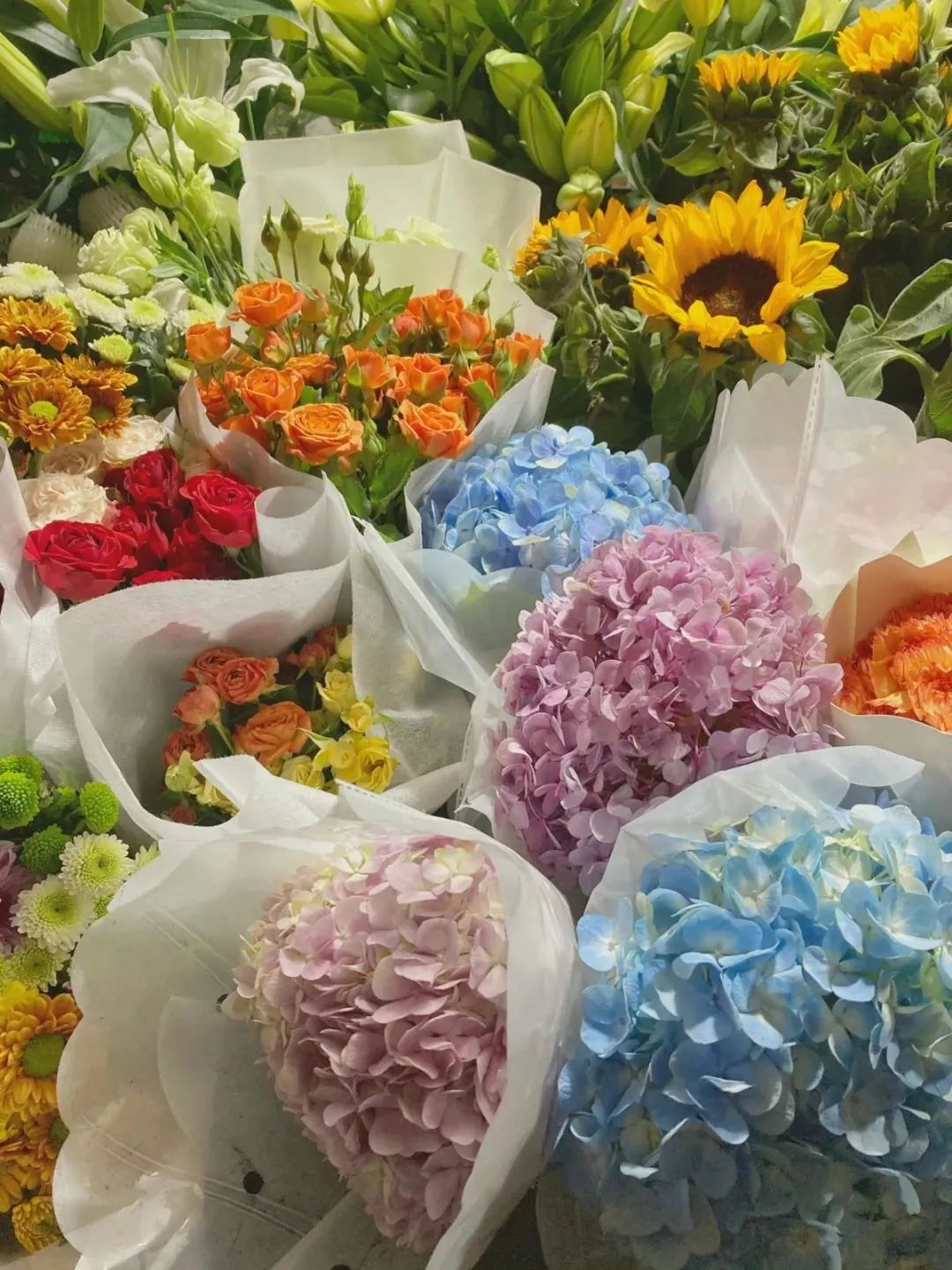 雨雪天气,来济南这些宝藏花市再合适不过了!快去把春天的浪漫抱回家吧!