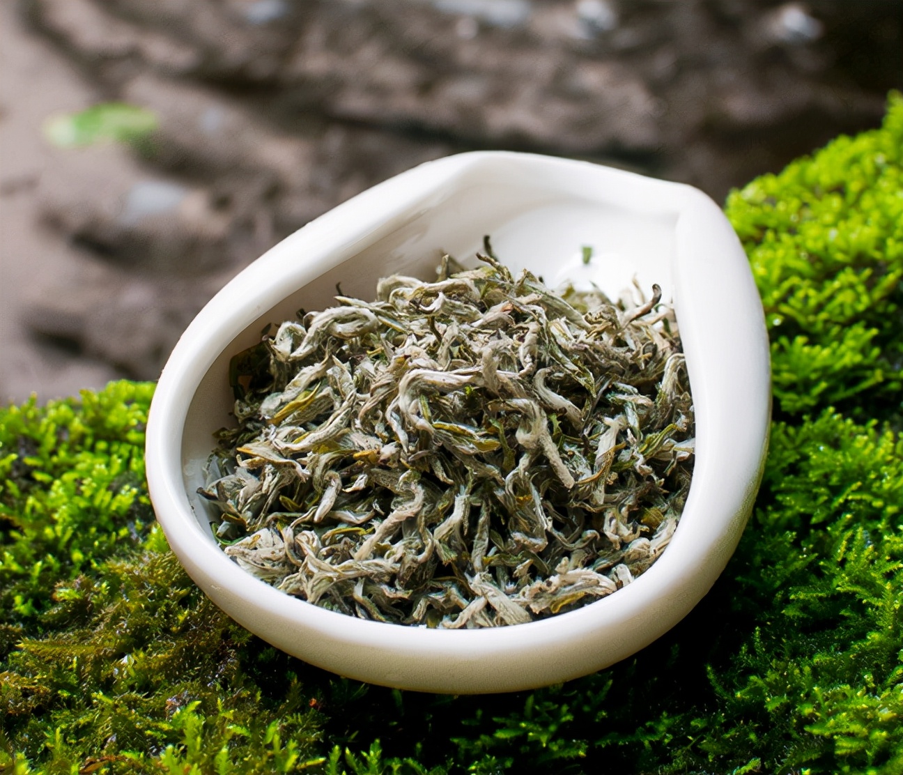 中国十大惨败案例,中国古代最惨的三大败仗