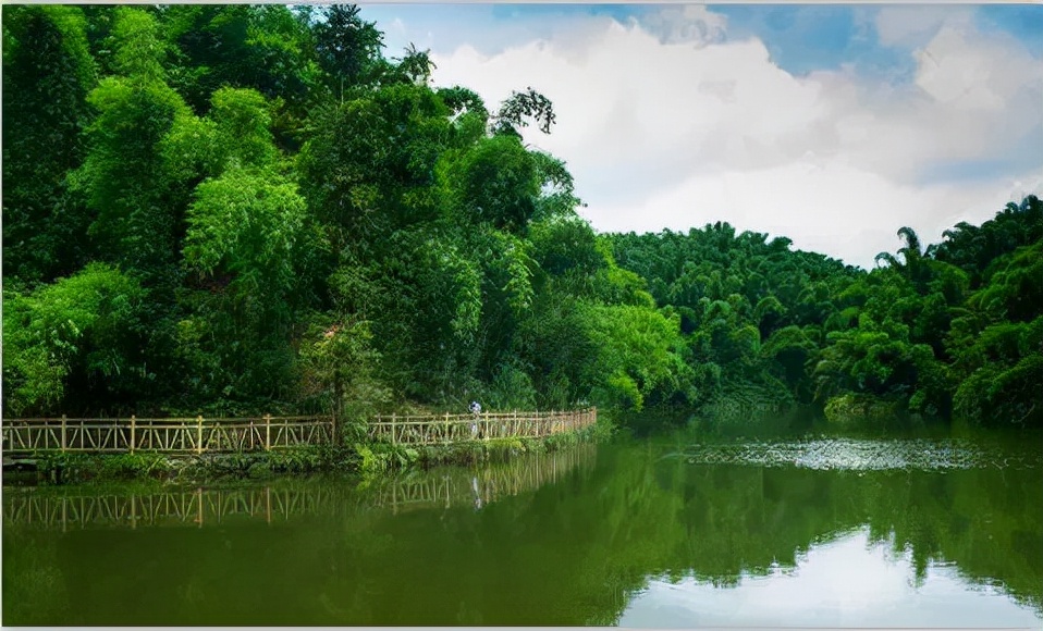 2022春节成都周边油菜花,2022年成都油菜花观赏地