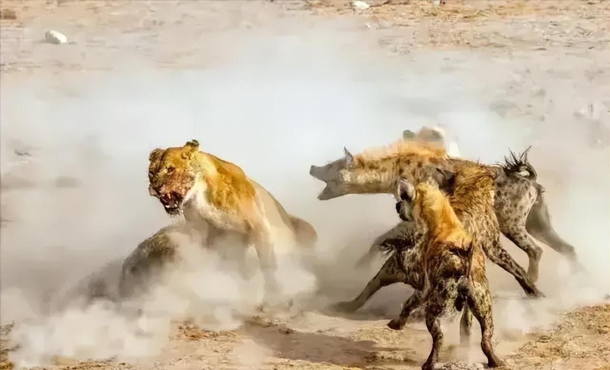 日军兽行：当着男人的面玷污了女儿，临走还残忍割下妻子乳房