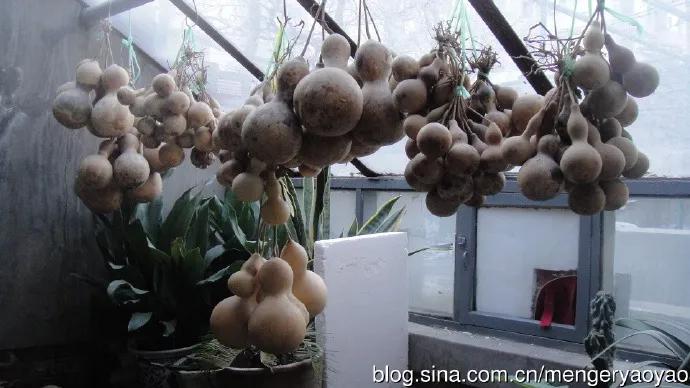 忧郁的毛毛小说,情缘伤感情歌