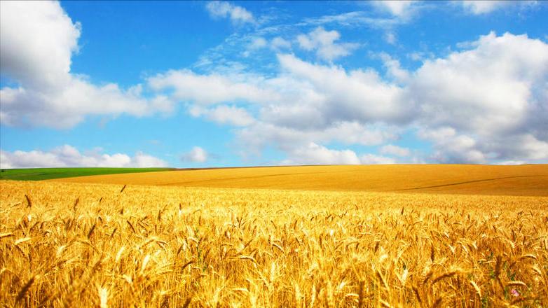 脾气大容易发火的星座,脾气大的星座配对