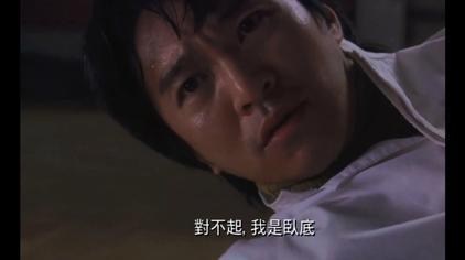 俄罗斯被制裁的猫是啥品种,俄罗斯的猫被制裁动画