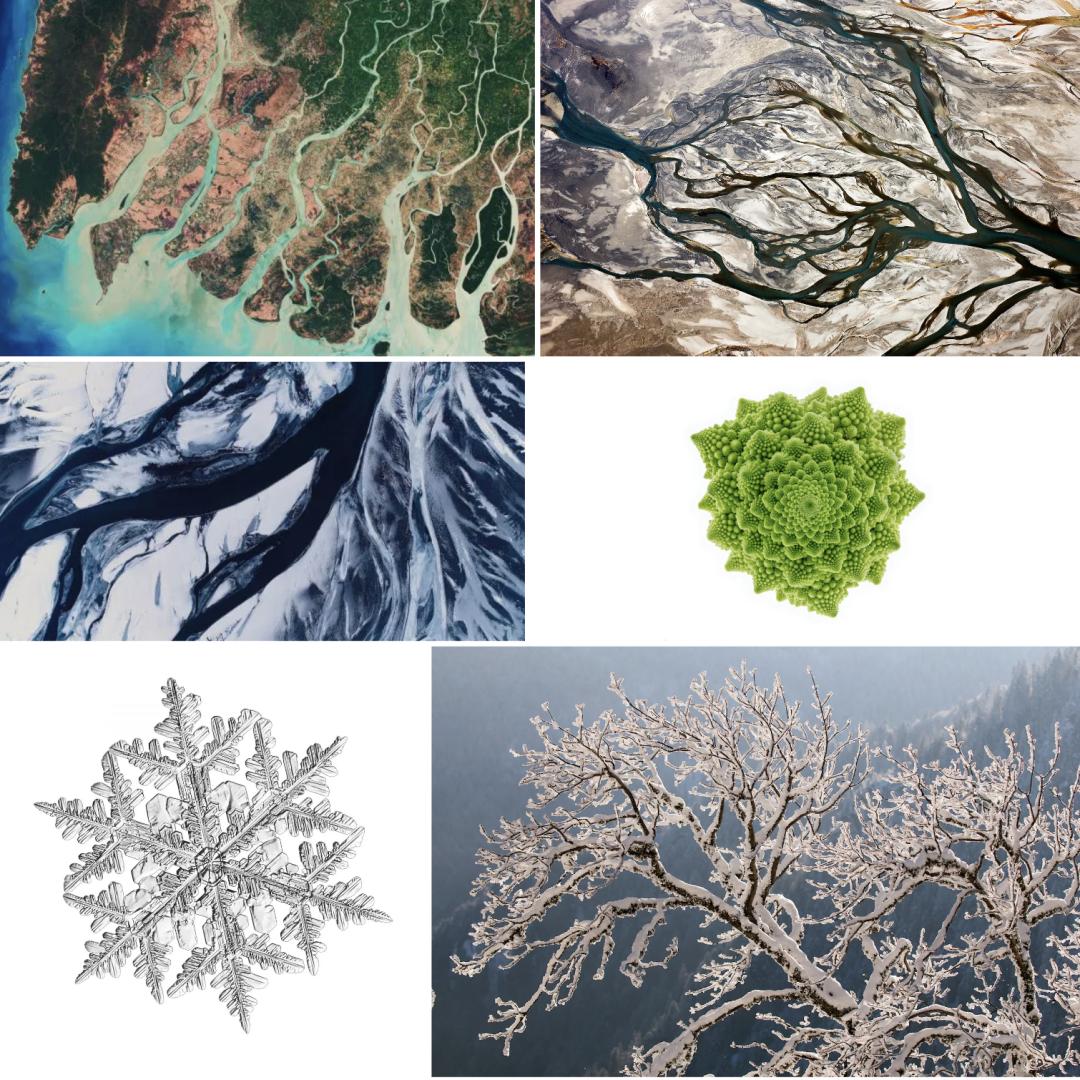 从量子到宇宙电子版,从量子到宇宙