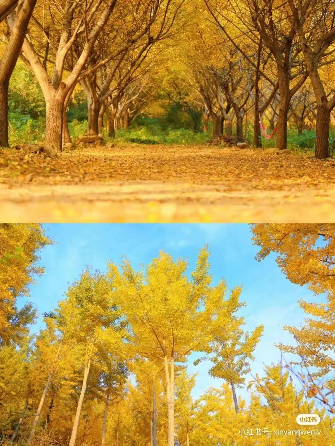 信阳南湾湖一日游详细攻略,信阳三日游攻略路线