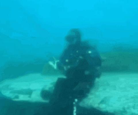 开心一刻｜有人接单吗？接一下我的孤单