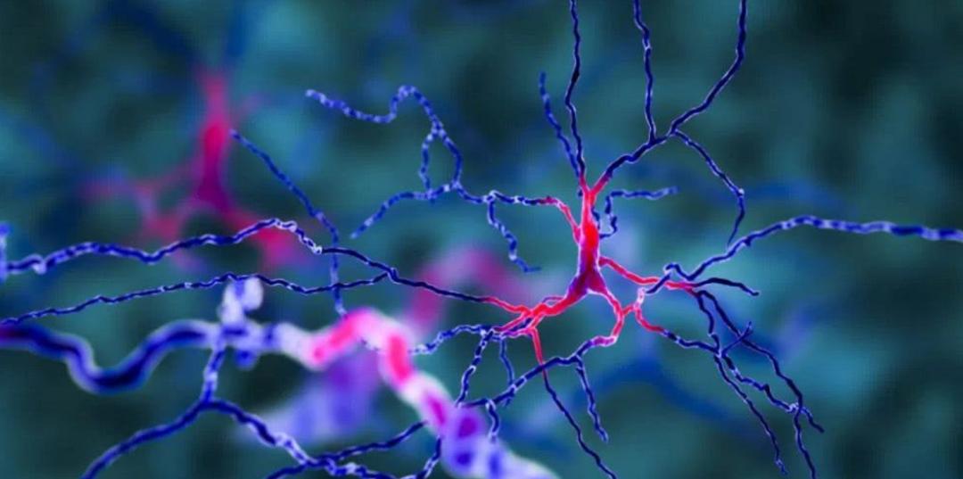 人类的大脑到底有多强大,人类的大脑是多少g的内存