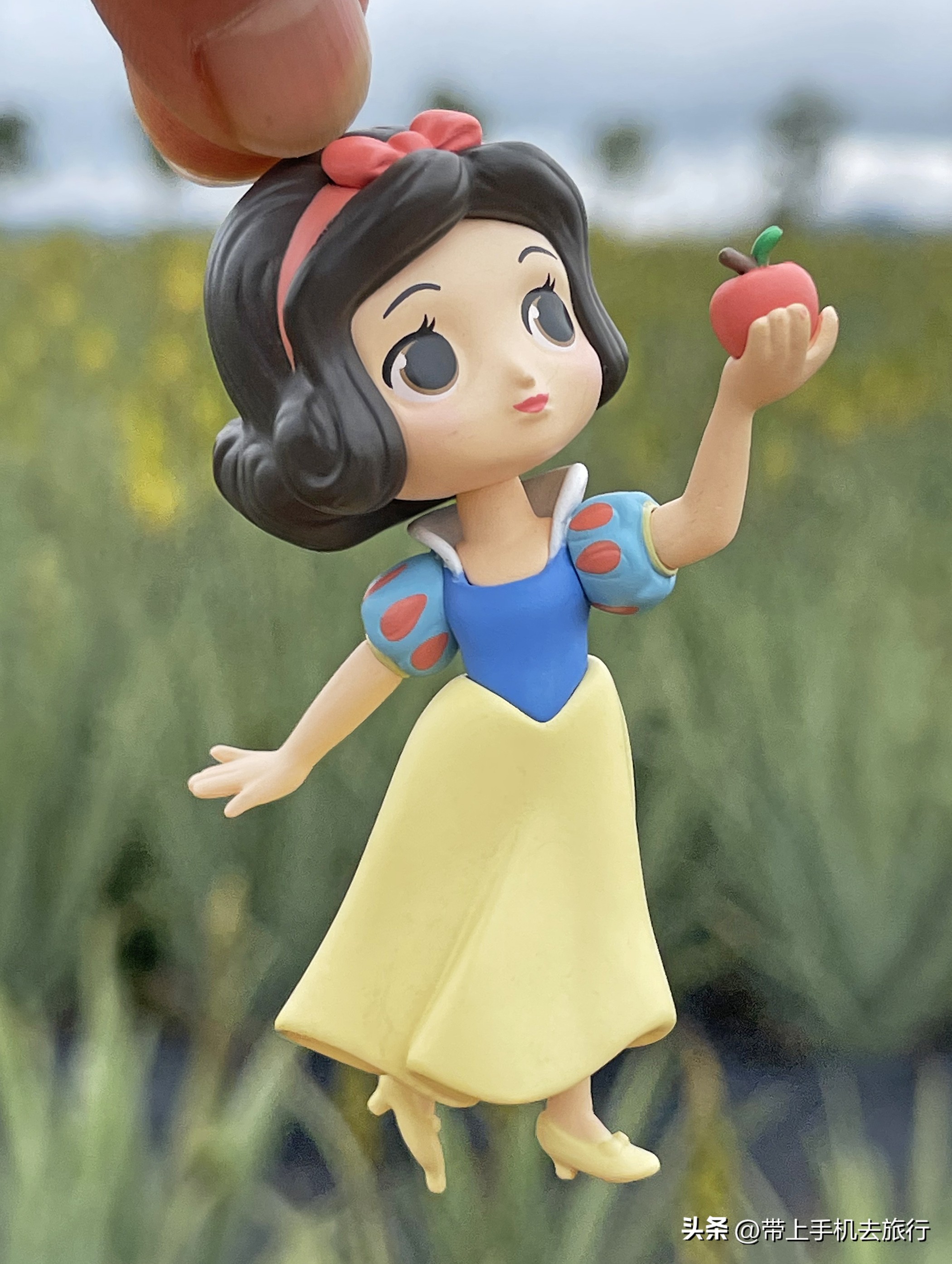 10分钟实用手机摄影知识,10分钟左右的手机摄影干货