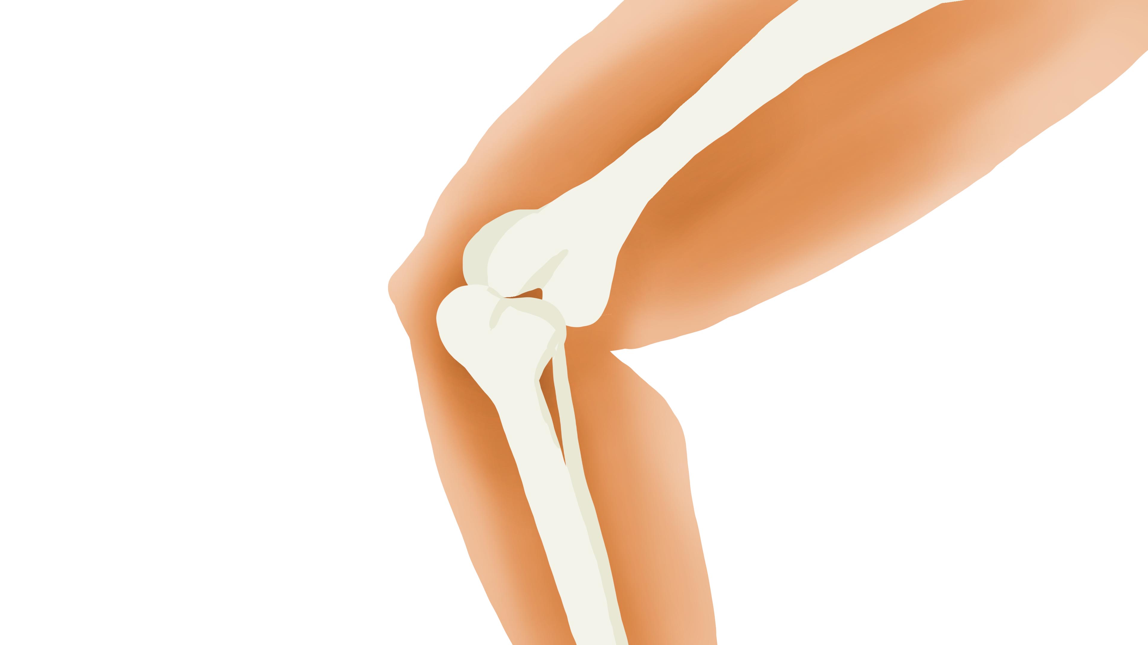 人老了骨头脆应该补什么,人老了骨头会怎么样