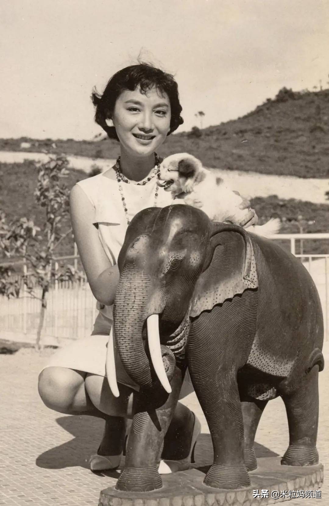 她是香港娱乐圈第一美女,她是金庸武侠第一美女