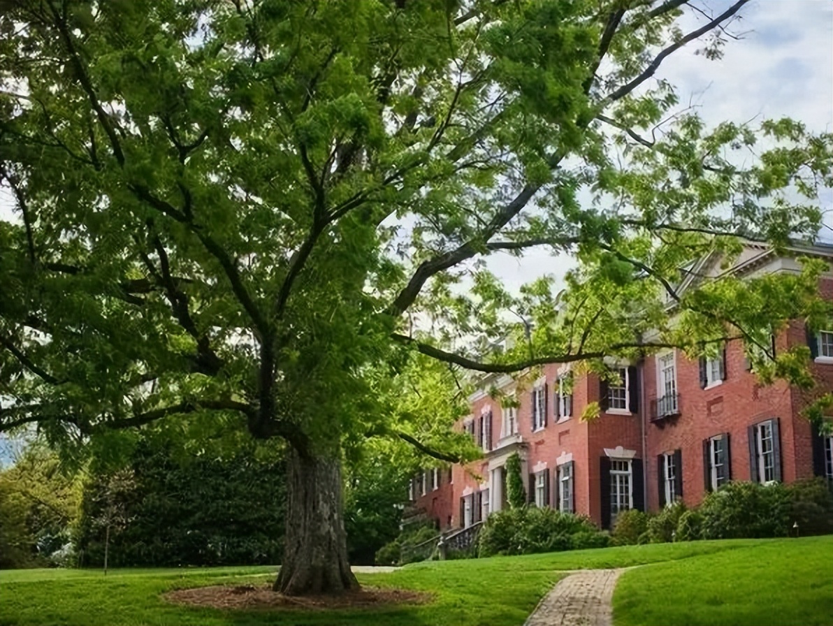 最美的十座园林,中国十大最美园林之留园