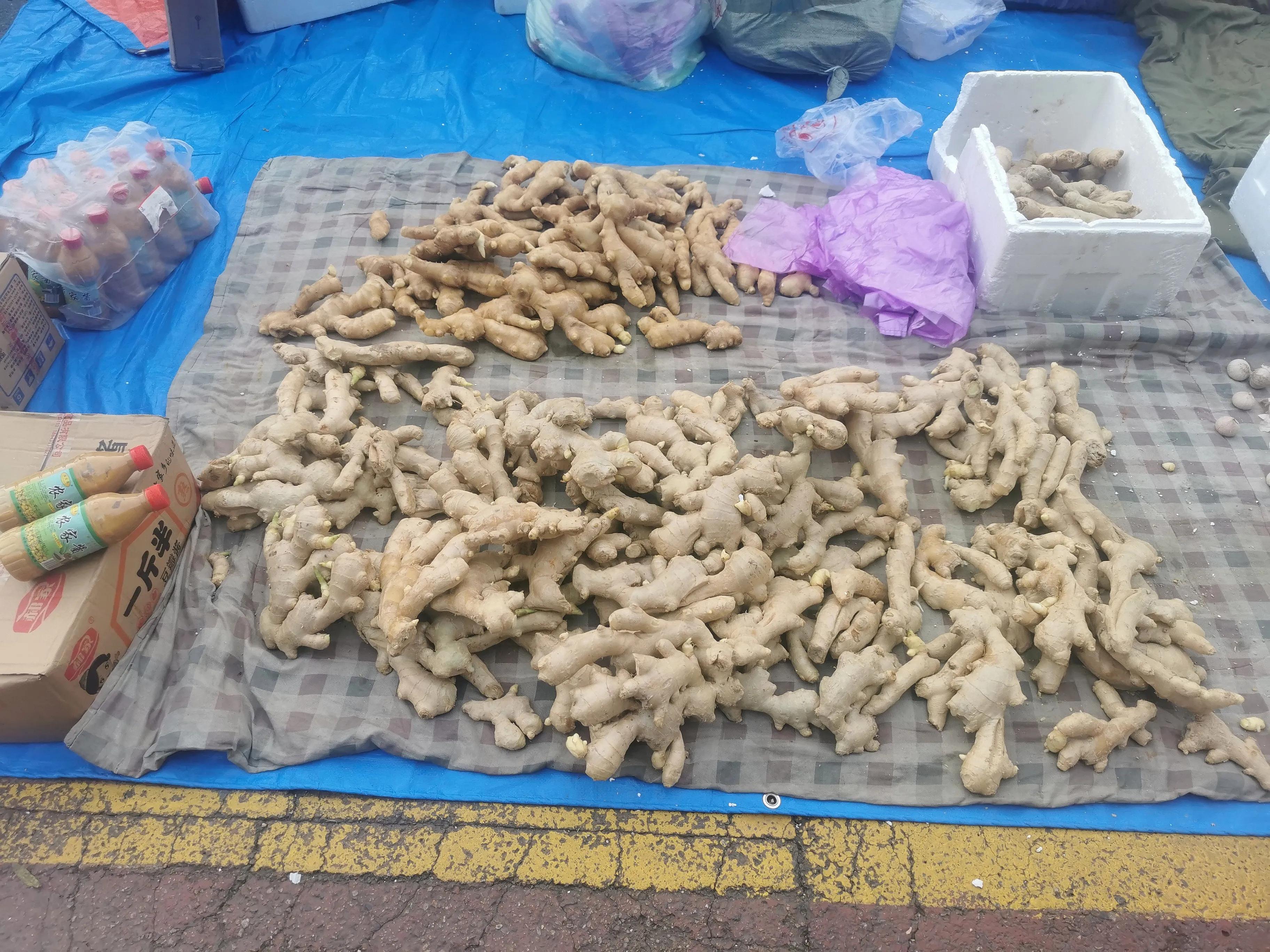 中国申请高句丽世界文化遗产遗址,高句丽历史文化遗址