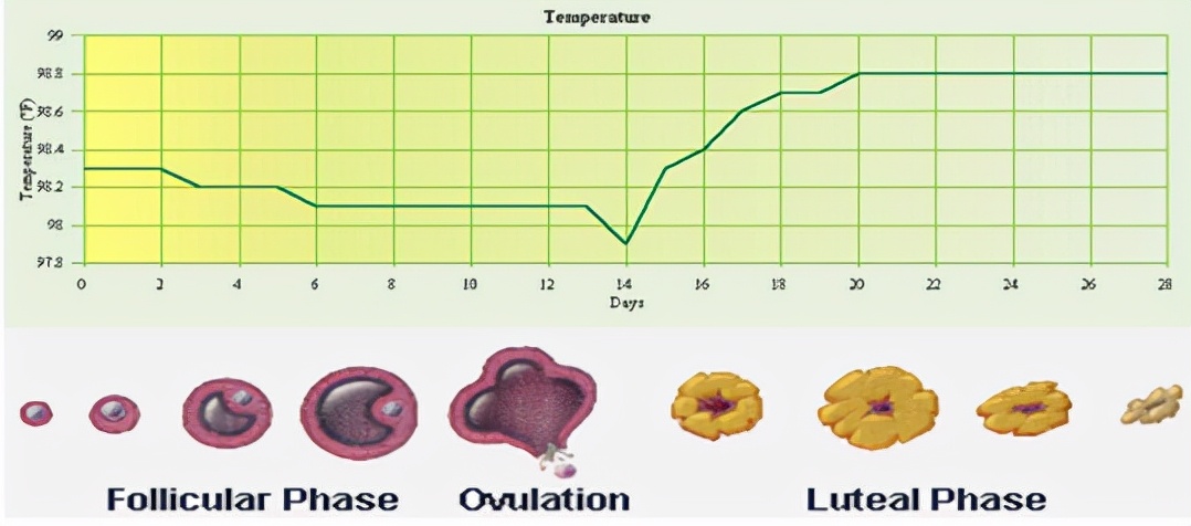 怕ta不来，又怕ta乱来！女生关于月经那点事儿