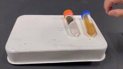 龟兔赛跑乌龟赢了却不开心,新编龟兔赛跑兔子赢了闷闷不乐