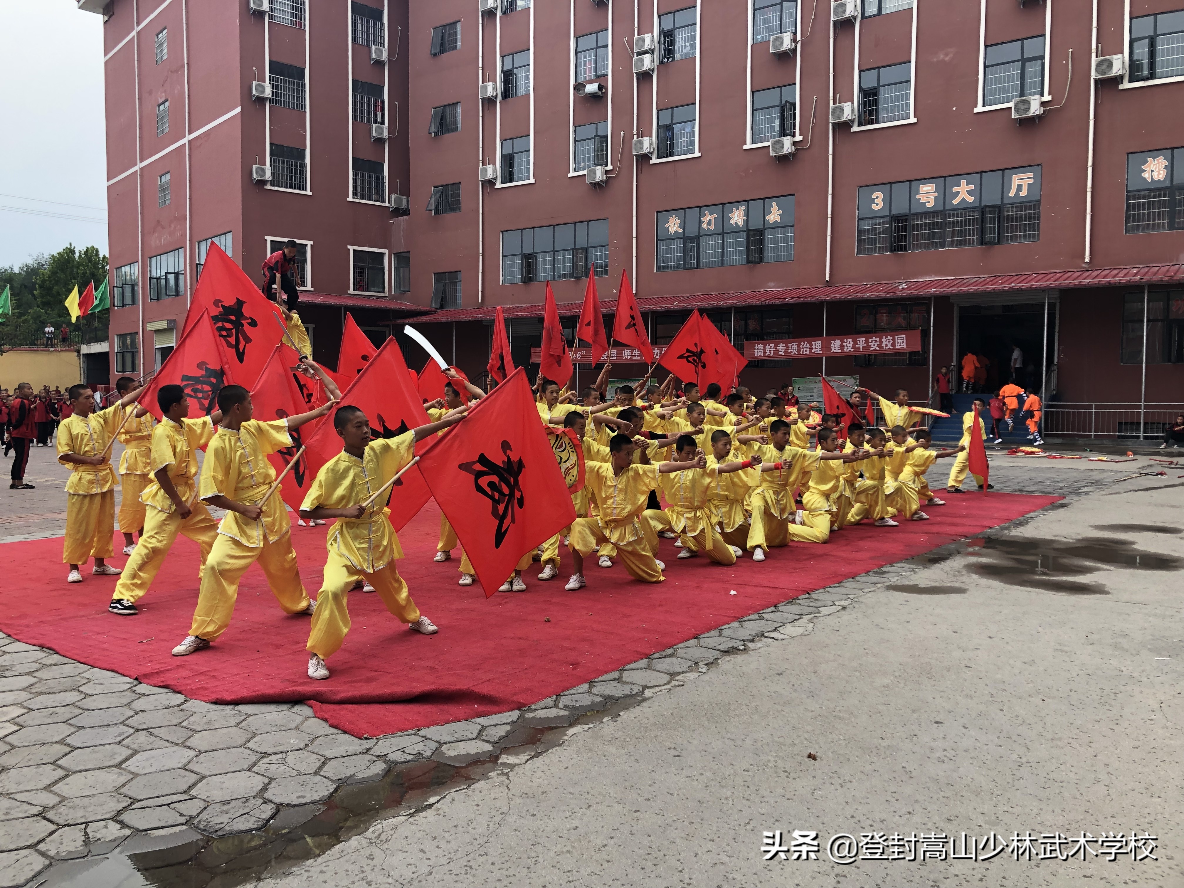 真正的少林武术在哪学最正宗,学武术少林