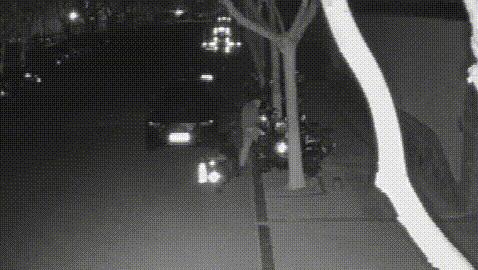 同城捉猫,同城约单入会