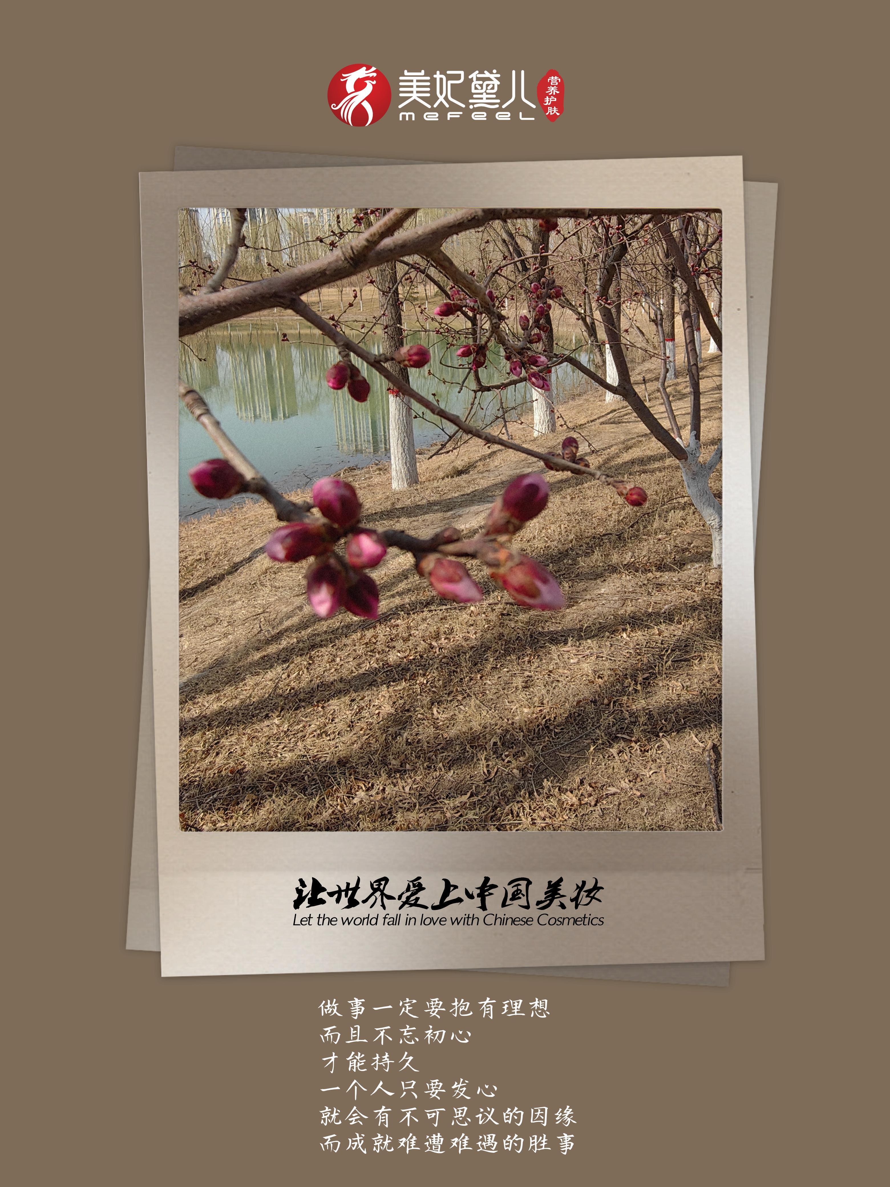 美妃黛儿：同向春风绽