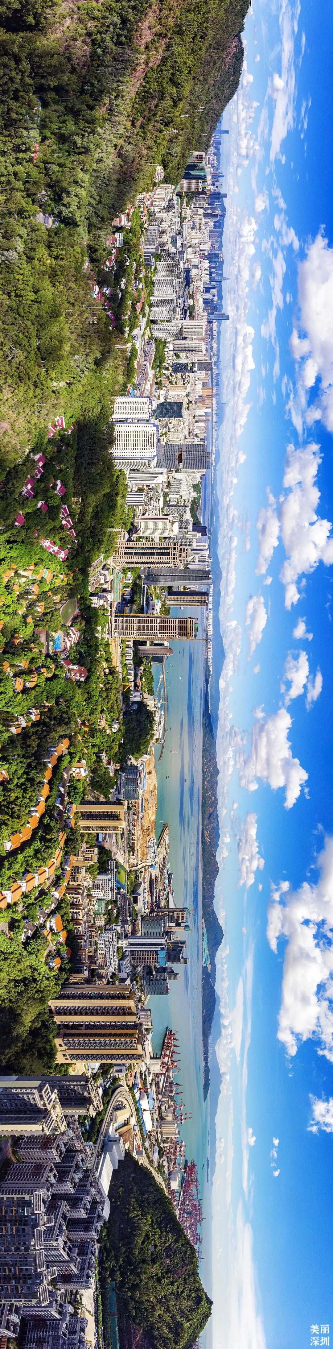 深圳莲花山公园航拍,航拍深圳凤凰山公园