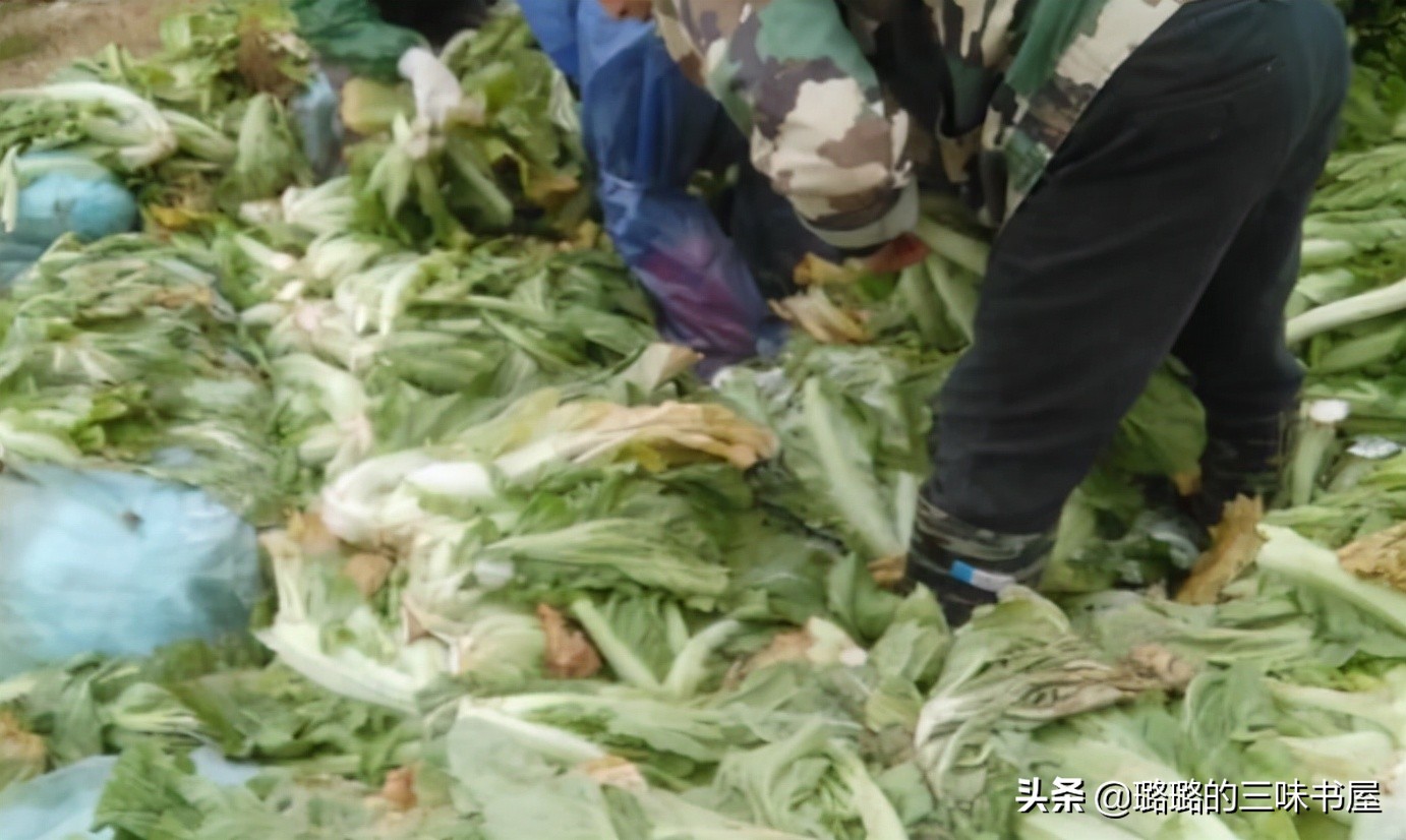 那些黑心的商家,黑心商家昧着良心赚钱