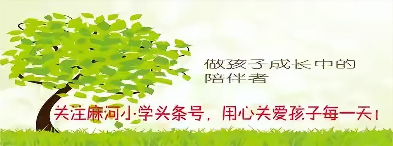 踏浪前行风正劲，不负韶华争朝夕——麻河小学2022年十件大事