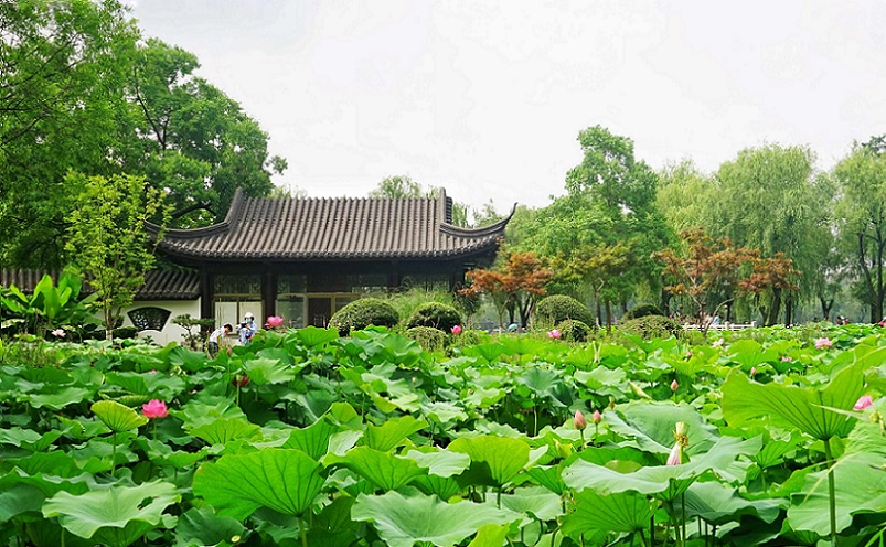 12月南京有哪些免费景点,南京市民免费旅游景点
