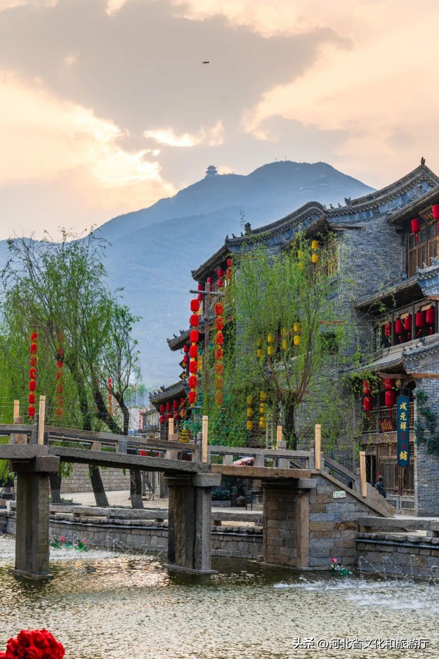 明星来保定视频,明星来河北