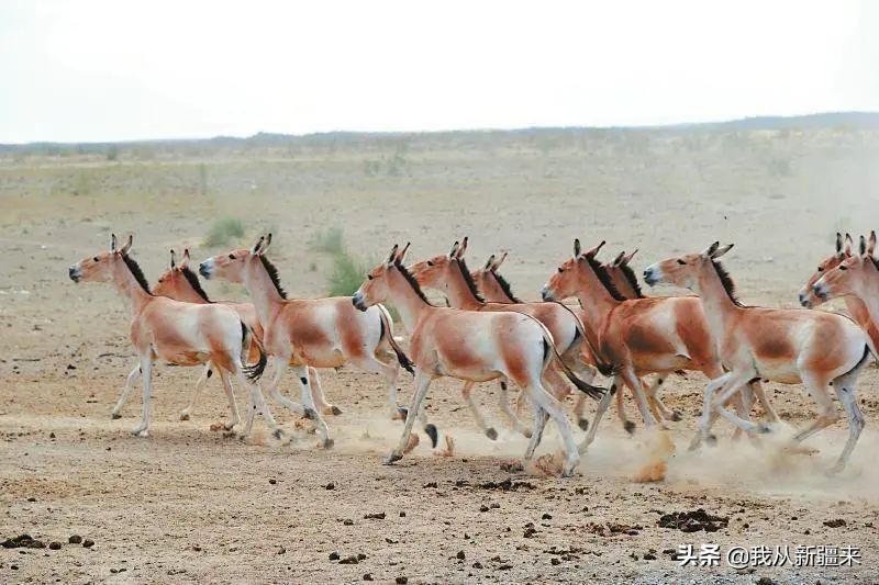 omg眼影青蓝紫 (omg眼影)