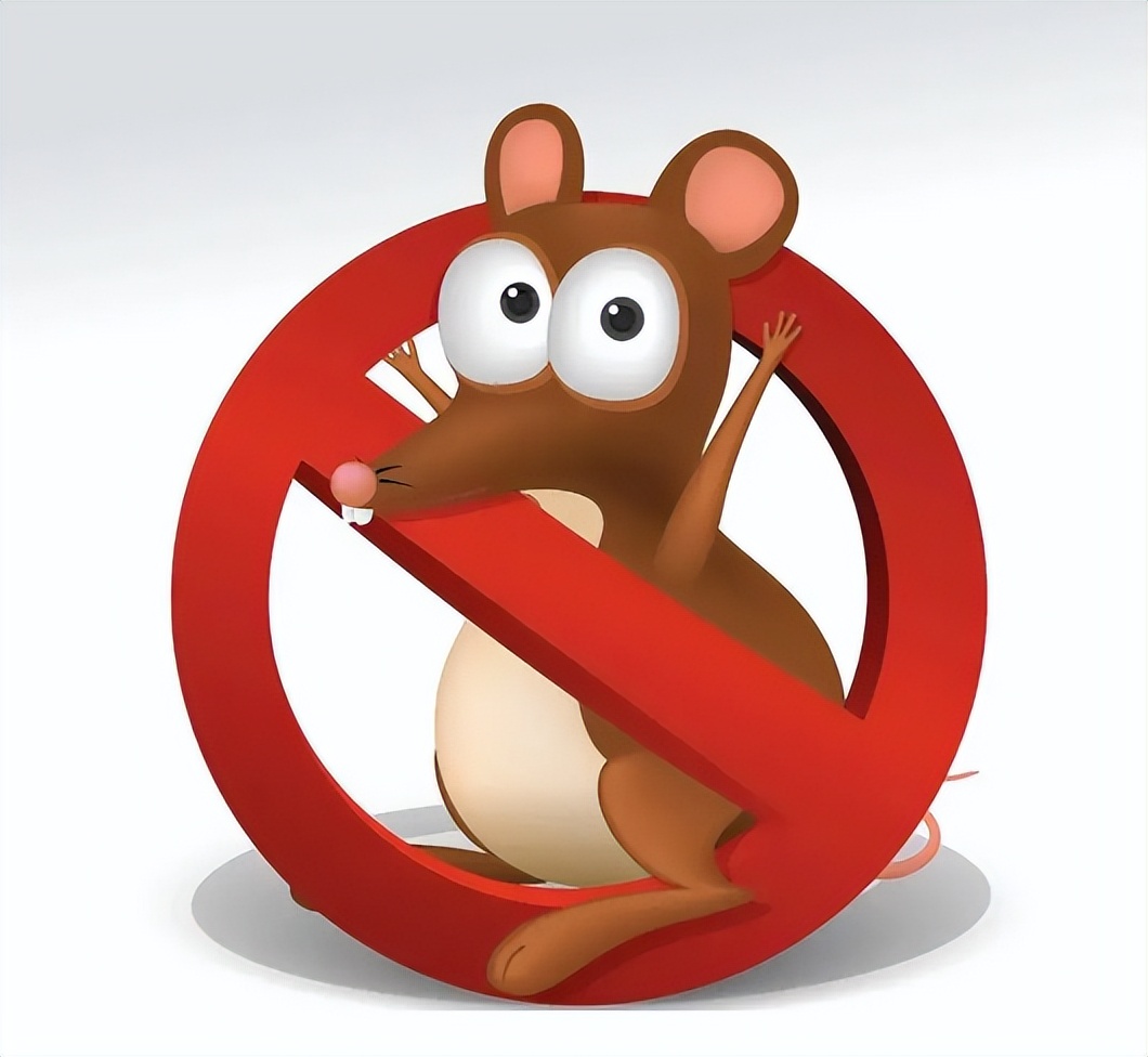 雨天安全出行、雨后预防这些疾病→提示来了······