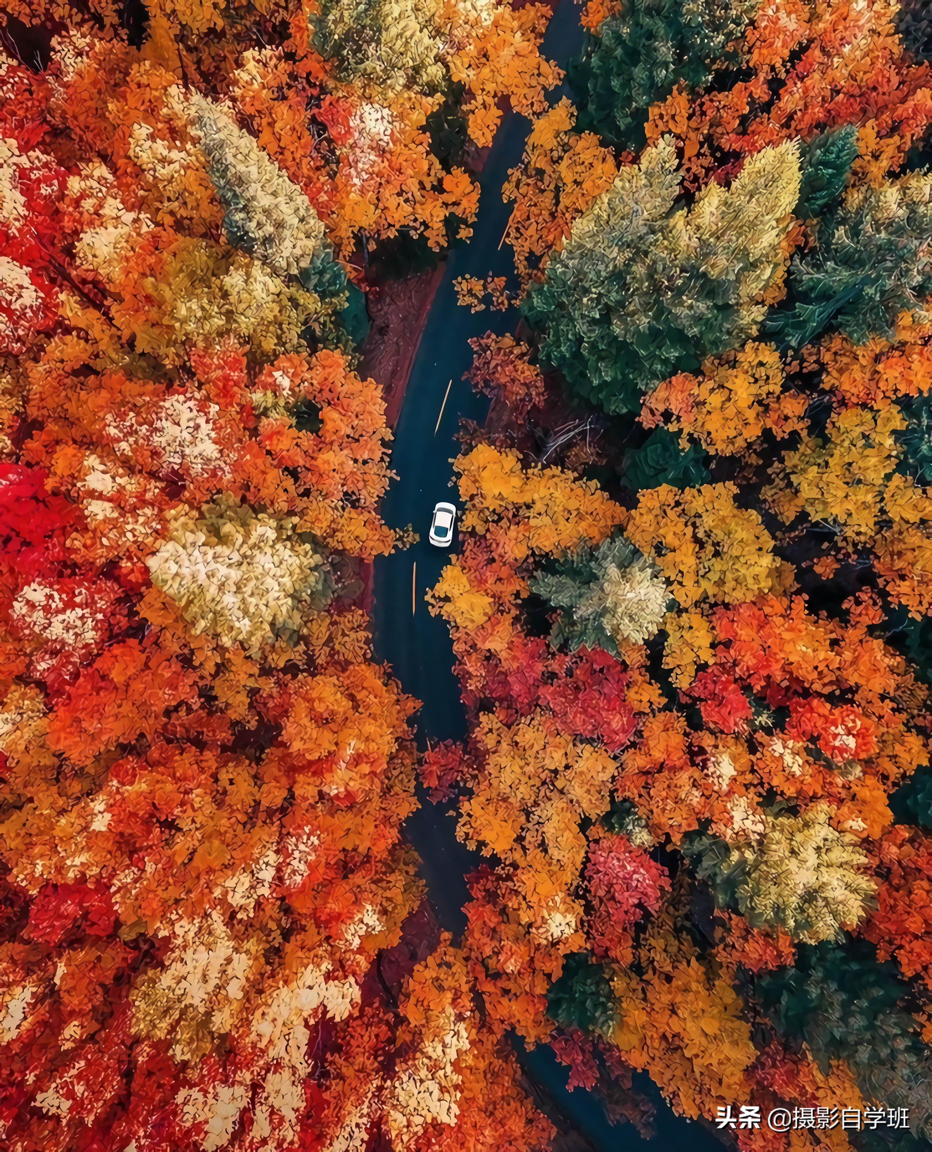 拍风光照的12个摄影技巧,怎么拍最漂亮风景摄影技法
