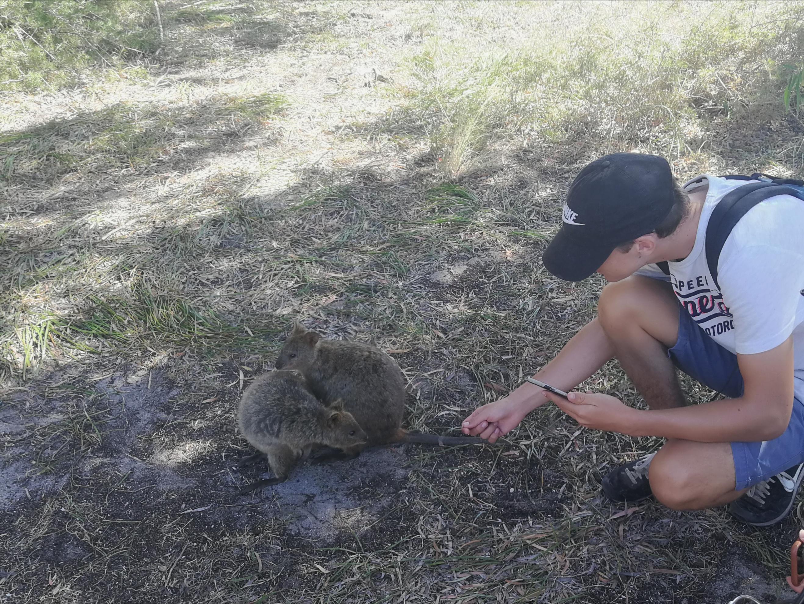 澳大利亚珀斯旅游攻略,旅游澳大利亚悉尼