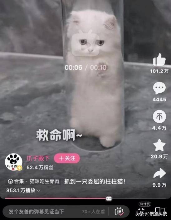 b站创作激励收益降低,b站1万粉丝的up主收入