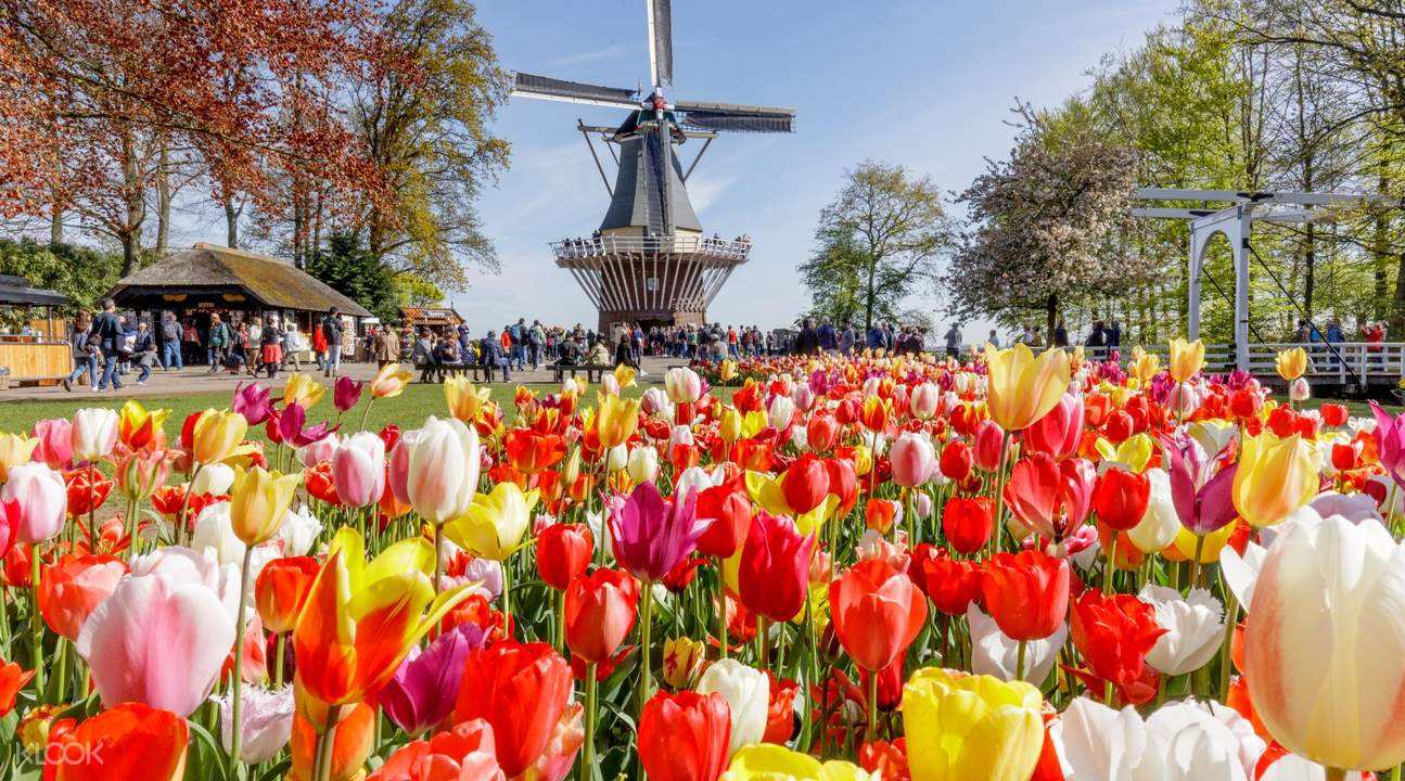 鑽峰叞鍚堟硶鍖栫殑娲诲姩,鑽峰叞鎬у悎娉曞寲