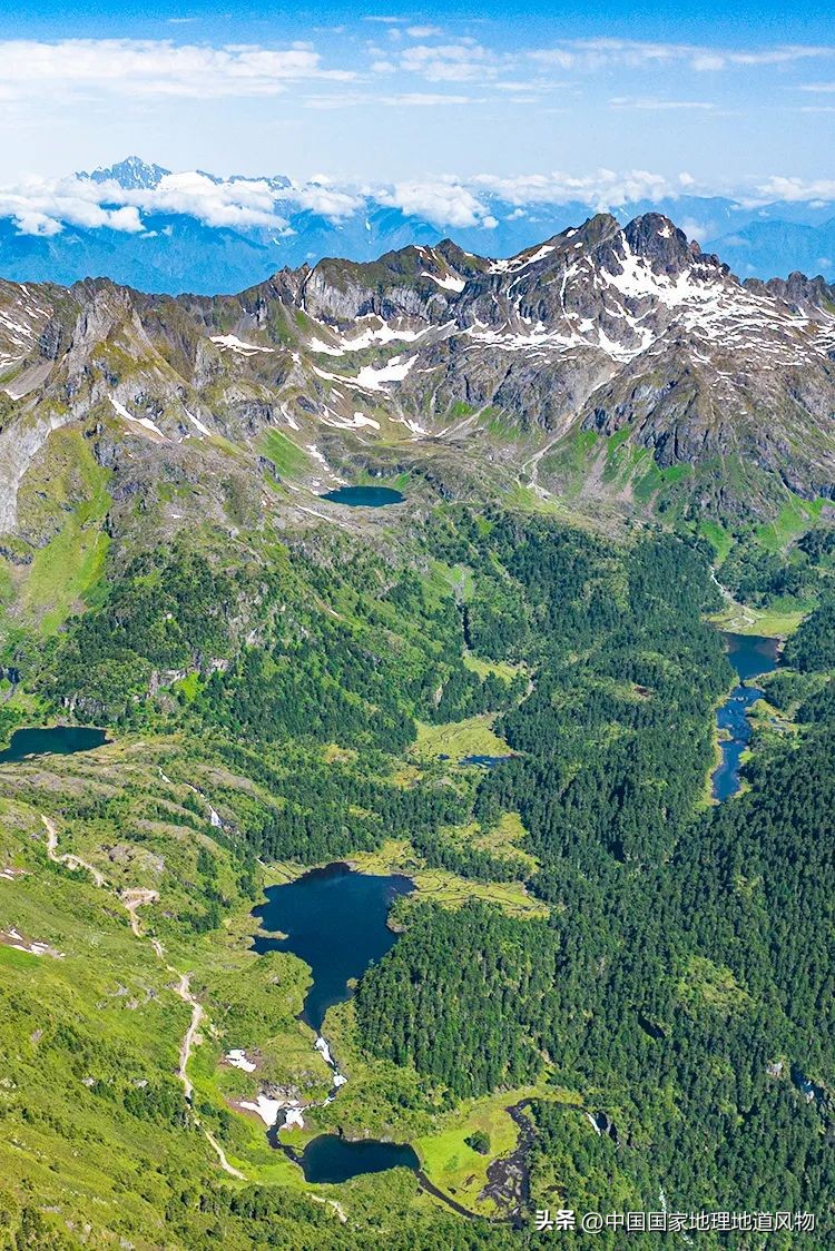 我国哪里盛产火龙果,全国最大的火龙果基地是哪里